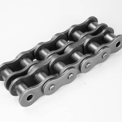 Renold American Standard Roller Chain (ANSI) Supplier in India